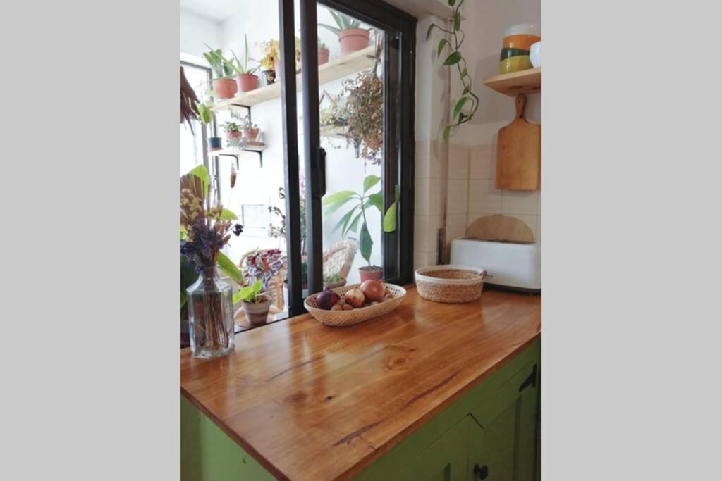 Bamboo House Aljezur Apartman Kültér fotó